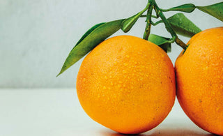 I migliori rimedi naturali per combattere la cellulite e rassodare la pelle - AYAY Blog