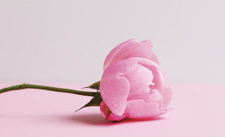 Come affrontare la secchezza vaginale: consigli utili e rimedi efficaci - AYAY Blog