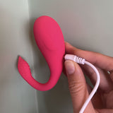 Delfino curioso - Vibratore a distanza doppia stimolazione con App