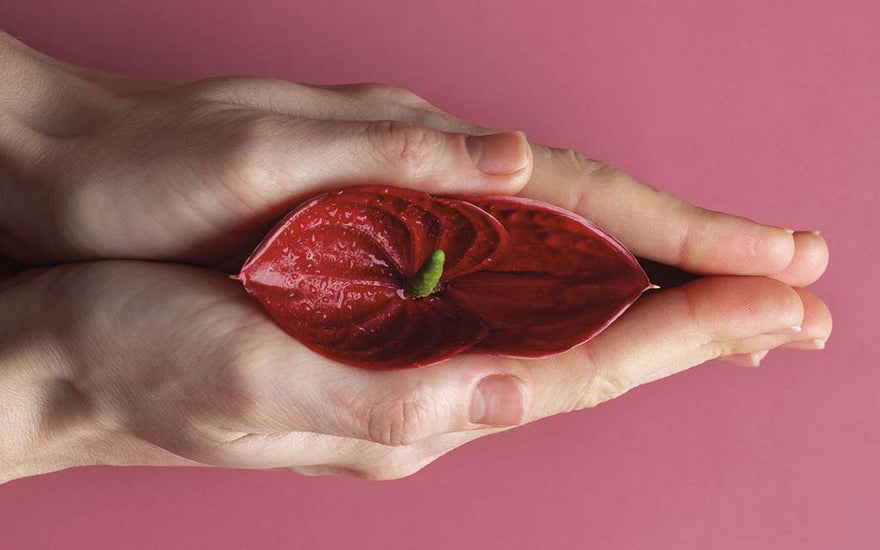 Come gestire il flato vaginale: cause, sintomi e rimedi efficaci