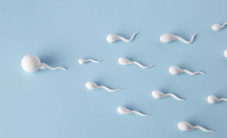 A microscopic view of sperm and seminal fluid