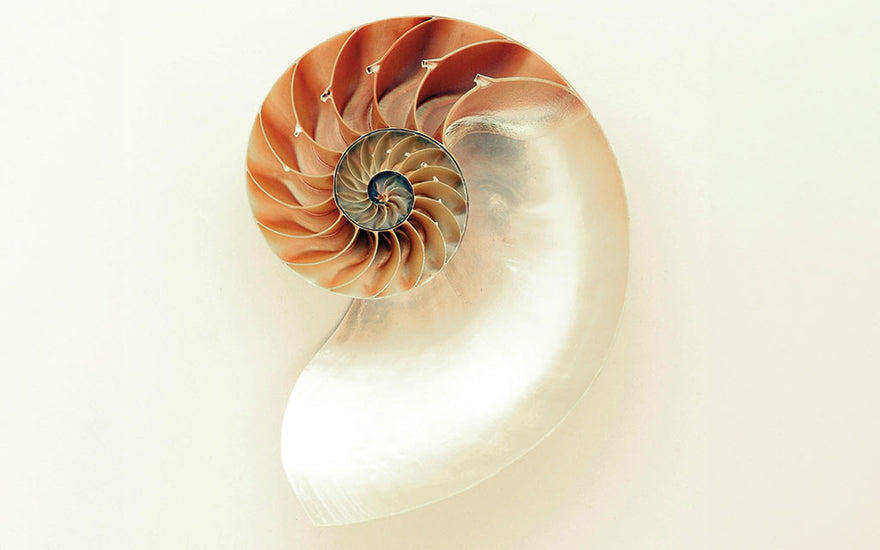 Come la Spirale Influenza il Ciclo Mestruale