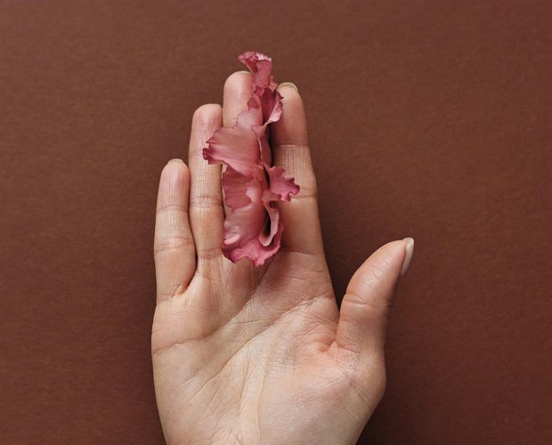 Cos'è la Vulva: Guida Completa per Comprendere l'Anatomia Femminile - Ayay 1